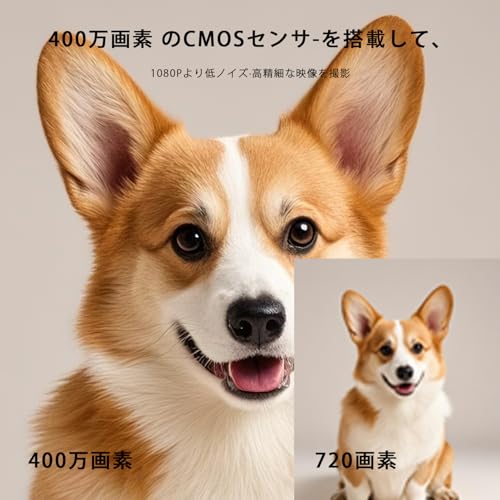 2025年新型 ペットカメラ 400万画素 2K ベイビーモニター ワイヤレス屋内防犯 適格請求書ok 監視355度 ベビー 老人 ペット見守り 2.4GWi-Fi対応 スマホ対応 iphone対応 動体検知 双方向音声通話 暗視撮影 録画可能 クラウド保存対応 ペットカメラ 犬/猫/お年寄り 監視カメラ 警報通知 中間 画像