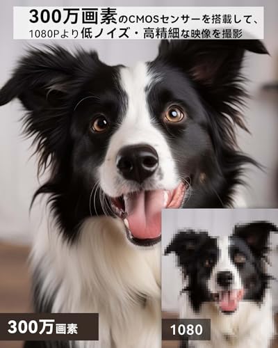 【3年保証・Alexa対応・フルカラー暗視 】ペットカメラ 見守りカメラ 防犯カメラ 室内 留守番カメラ blurams 300万画素 自動追跡 人体/サウンド/モーション検知 PTZ首振り 警報通知 双方向会話 遠隔操作 インドア/玄関/店 ホームカメラ 監視カメラ 2.4GHz/5GHz WiFi対応 中間 画像