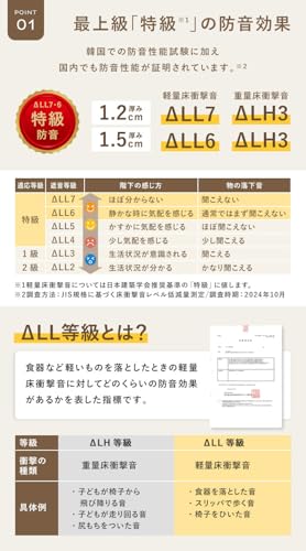 PARKLON(パークロン) やわらかクッションマット (抗菌/防水/防音/防炎/低反発) リバーシブルプレイマット (210×140×1.2cm, Around town) 中間 画像