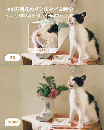 【300万画素・自動追尾】Imou ペットカメラ 監視カメラ 見守りカメラ 24時間録画 双方向通話 接続簡単 防犯カメラ 室内 留守番カメラ 360度カメラ 動体検知 暗視撮影 遠隔操作 SDカード/クラウドストレージ/NVR ネットワークカメラ ベビーモニター 高齢者/子供介護 ホームカメラ Alexa対応 WiFi 2.4GHz Ranger 2C 中間 画像
