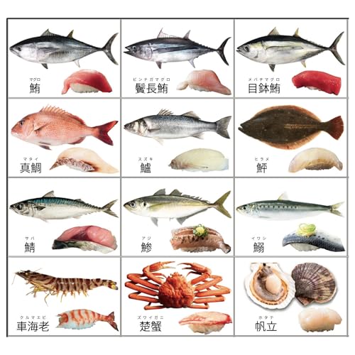 flyingegg 図鑑ポスター A2 魚 寿司 恐竜 昆虫 動物 働く車 水族館 動物園 室内用 (魚・寿司) 最後 画像