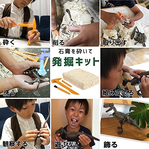 GEOWORLD 恐竜発掘キット ティラノサウルス 日本語パッケージ CL1663KJ 正規品 中間 画像