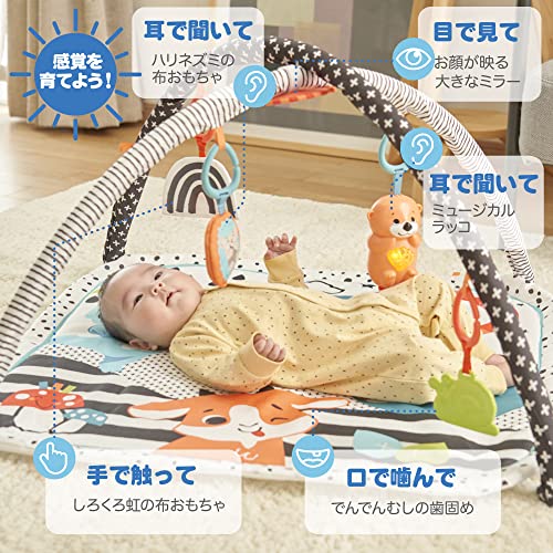 フィッシャープライス(fisher price) 感覚を育てよう! ラッコのわくわくミュージカルジム 赤ちゃん おもちゃ ベビージム プレイマット 0ヶ月から HBP41 中間 画像