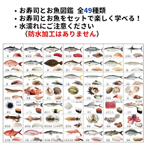 flyingegg 図鑑ポスター A2 魚 寿司 恐竜 昆虫 動物 働く車 水族館 動物園 室内用 (魚・寿司) 中間 画像