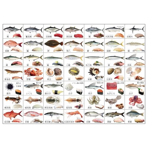 flyingegg 図鑑ポスター A2 魚 寿司 恐竜 昆虫 動物 働く車 水族館 動物園 室内用 (魚・寿司) 1枚目 画像