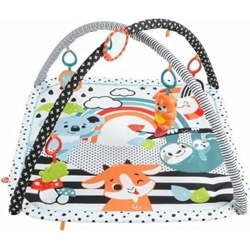 フィッシャープライス(fisher price) 感覚を育てよう! ラッコのわくわくミュージカルジム 赤ちゃん おもちゃ ベビージム プレイマット 0ヶ月から HBP41 中間 画像