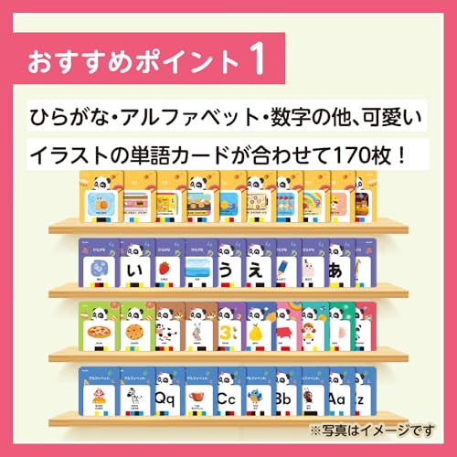 BabyBus はじめてのおしゃべりバス 英語学習 日英両語対応 フラッシュカード170枚 25曲 知育 学習玩具 赤ちゃん おもちゃ 3歳 4歳 5歳 誕生日 プレゼント ギフト ベイビーバス ベビーバス 中間 画像