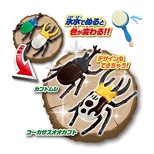 パイロット かえちゃOh!! まほうのカブトムシ&クワガタ 3歳以上 中間 画像