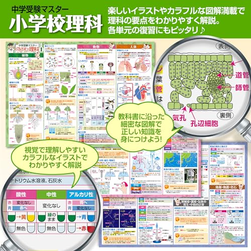 お風呂の学校 セット価格 中学受験マスター理科／心情語 お風呂ポスター２種類セット 日本製 理科 国語 学習 知育 B3サイズ 防水 中間 画像