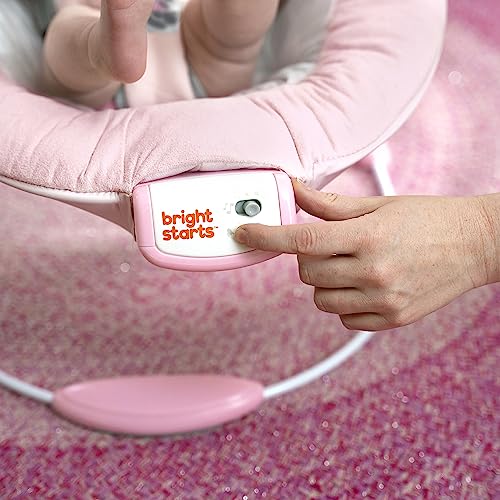 Bright Starts ブライトスターツ ミニーマウス・ローズスカイ・バウンサー (12206) by Kids IIの特徴・詳細 画像