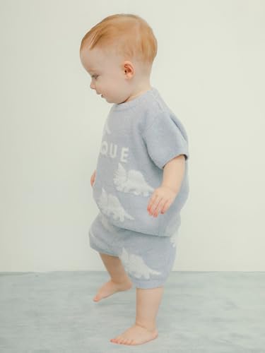 [ジェラート ピケ] BABY スムーズィーダイナソーJQDプルオーバー PBNT251485 ユニセックスベビー NVY 80の特徴・詳細 画像