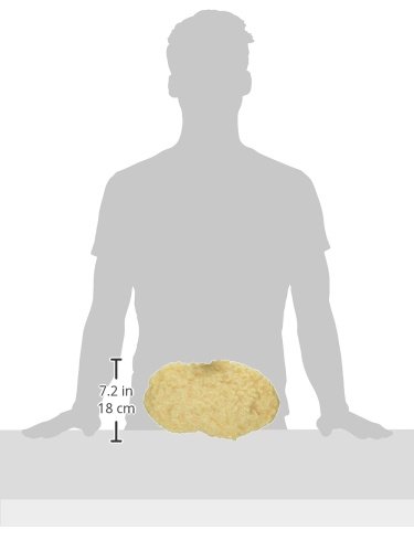 脂肪模型 1kgの詳細・まとめ 画像