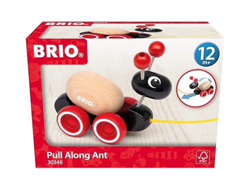 BRIO (ブリオ) ローリングエッグとアリさん(クラシック)30348 対象年齢1歳~【おもちゃ 玩具 木製おもちゃ プレゼント(誕生日/クリスマス)】の外観・全体像 画像