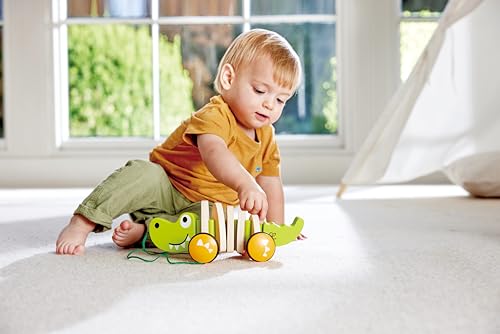 Hape(ハペ) おさんぽワニさん E0348の特徴・詳細 画像