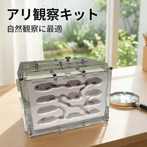 アリ飼育キット 石膏製巣箱 透明アクリル製ケース アリの巣観察キット アリ研究用 飼育セット 自由研究に適用 サイズ205×187×13mm (205*187*135MM,A)の特徴・詳細 画像