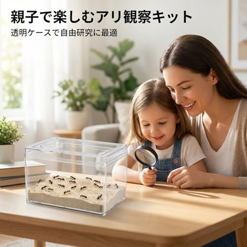 アリ飼育キット 石膏製巣箱 透明アクリル製ケース アリの巣観察キット アリ研究用 飼育セット 自由研究に適用 サイズ205×187×13mm (205*187*135MM,A)の特徴・詳細 画像