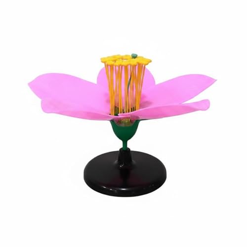 petsola 開花した桃の花模型 ピンクの花びら 桃の花の生物模型 開花形 桃の花 教育用 教材 詳細構造 花の 生物の授業用 1