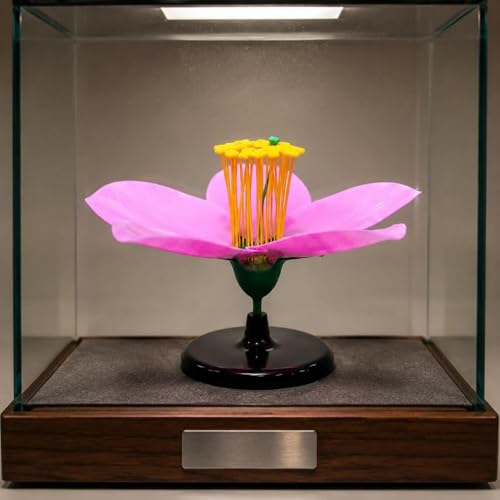petsola 開花した桃の花模型 ピンクの花びら 桃の花の生物模型 開花形 桃の花 教育用 教材 詳細構造 花の 生物の授業用の詳細・まとめ 画像