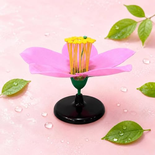 petsola 開花した桃の花模型 ピンクの花びら 桃の花の生物模型 開花形 桃の花 教育用 教材 詳細構造 花の 生物の授業用の特徴・詳細 画像