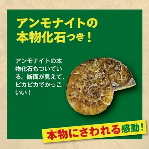 学研 Gakken 学研の科学 恐竜 化石 発掘 キット (対象年齢6歳以上) Q750947の特徴・詳細 画像