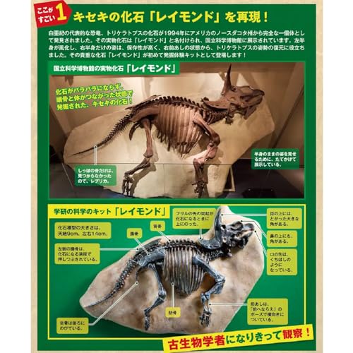 学研 Gakken 学研の科学 恐竜 化石 発掘 キット (対象年齢6歳以上) Q750947の詳細・まとめ 画像