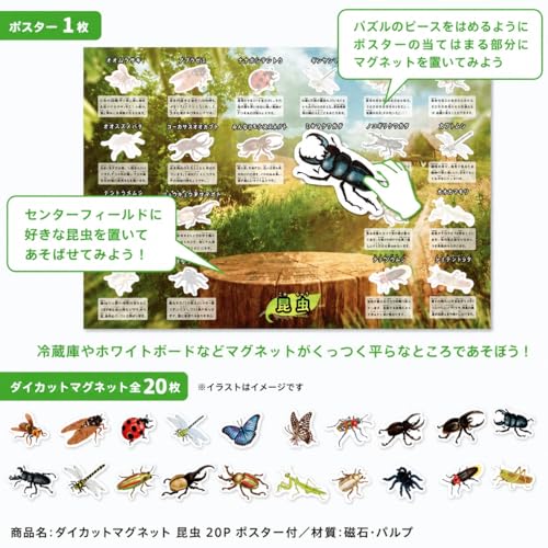 激強動物 ダイカット マグネット 磁石 豆知識＆ポスター付き 20枚セット 楽しく覚える 知育玩具 学習用 ホワイトボード・冷蔵庫 パズル ぞう、ライオン、サメ、などかっこいい動物がいっぱい (昆虫)の詳細・まとめ 画像