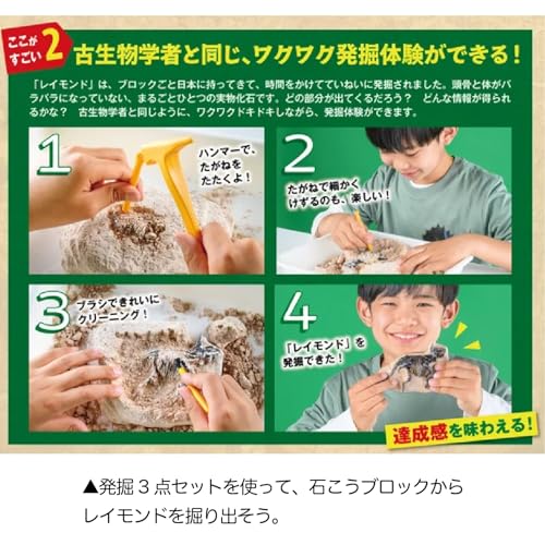 学研 Gakken 学研の科学 恐竜 化石 発掘 キット (対象年齢6歳以上) Q750947の特徴・詳細 画像