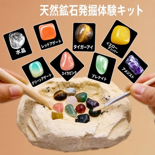 天然石発掘キット おもちゃ 宝石 鉱石標本 宝石の原石発掘体験 水晶発見 子供 地質学 地質科学キット 自由研究 実験玩具 小学生 クリスマスプレゼント 誕生日ギフト タイプAの詳細・まとめ 画像
