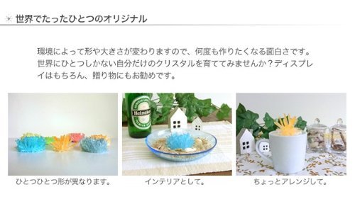OTOGINO マジッククリスタル 【ブルー】 10日で育つ不思議なクリスタルの特徴・詳細 画像