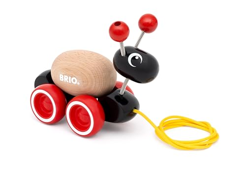 BRIO 木製レール 知育玩具 ローリングエッグとアリさん(クラシック） 対象年齢1歳~ 30348 誕生日 クリスマス プレゼント 室内遊び 男の子の特徴・詳細 画像