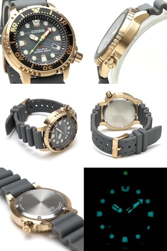 CITIZEN PROMASTER エコドライブ ECO-DRIVE ソーラー DIVER 200M プロマスター ダイバー グレー BN0163-00H [並行輸入品]の詳細・まとめ 画像