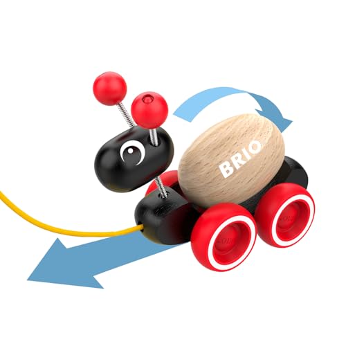 BRIO 木製レール 知育玩具 ローリングエッグとアリさん(クラシック） 対象年齢1歳~ 30348 誕生日 クリスマス プレゼント 室内遊び 男の子の特徴・詳細 画像