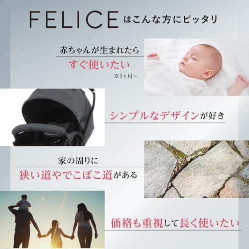 PIGEON ピジョン フェリーチェ FELICE 両対面式A型ベビーカー アイビーグレー 欲しいを詰めたベビーカー オンライン限定品の詳細・まとめ 画像